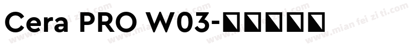 Cera PRO W03字体转换